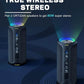 Ortizan 40W Boxe Portabile Bluetooth IPX7 cu Lumini LED - Venduqo