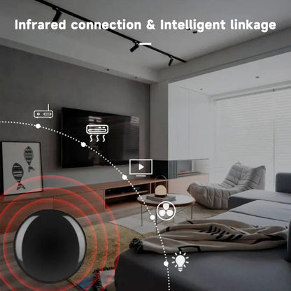 Controler Inteligent WiFi/Zigbee Tuya pentru Smart Home